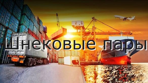 Шнековые пары